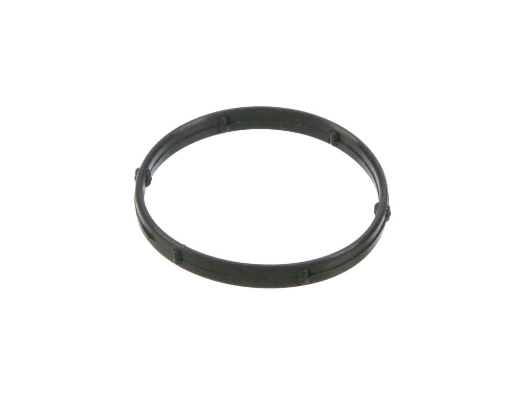 2007-2009 Jaguar XK Engine Coolant Outlet O-Ring (APA/URO Parts)