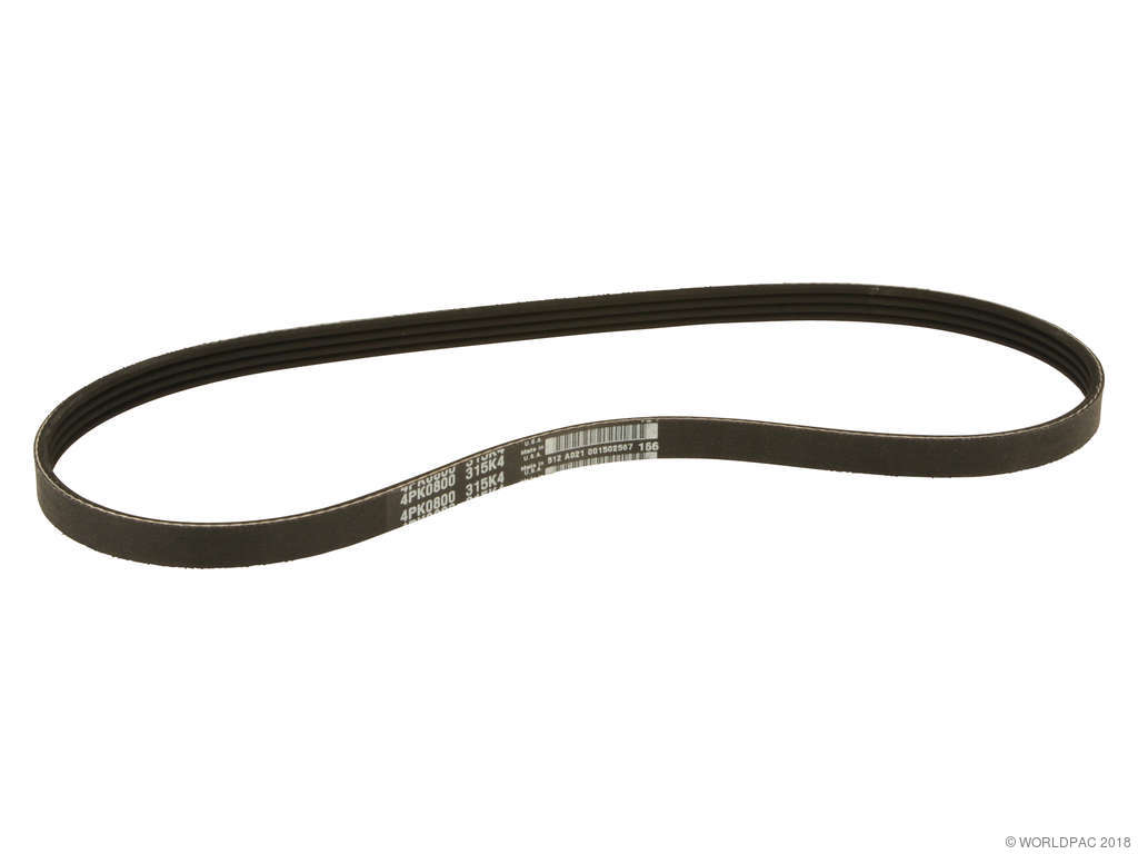 1992-1993 Lexus ES300 Accessory Drive Belt - Power Steering (Dayco)