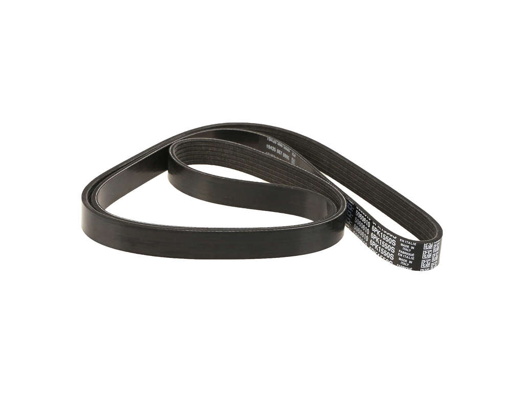 1997-2000 BMW Z3 Accessory Drive Belt - Primary (Dayco)