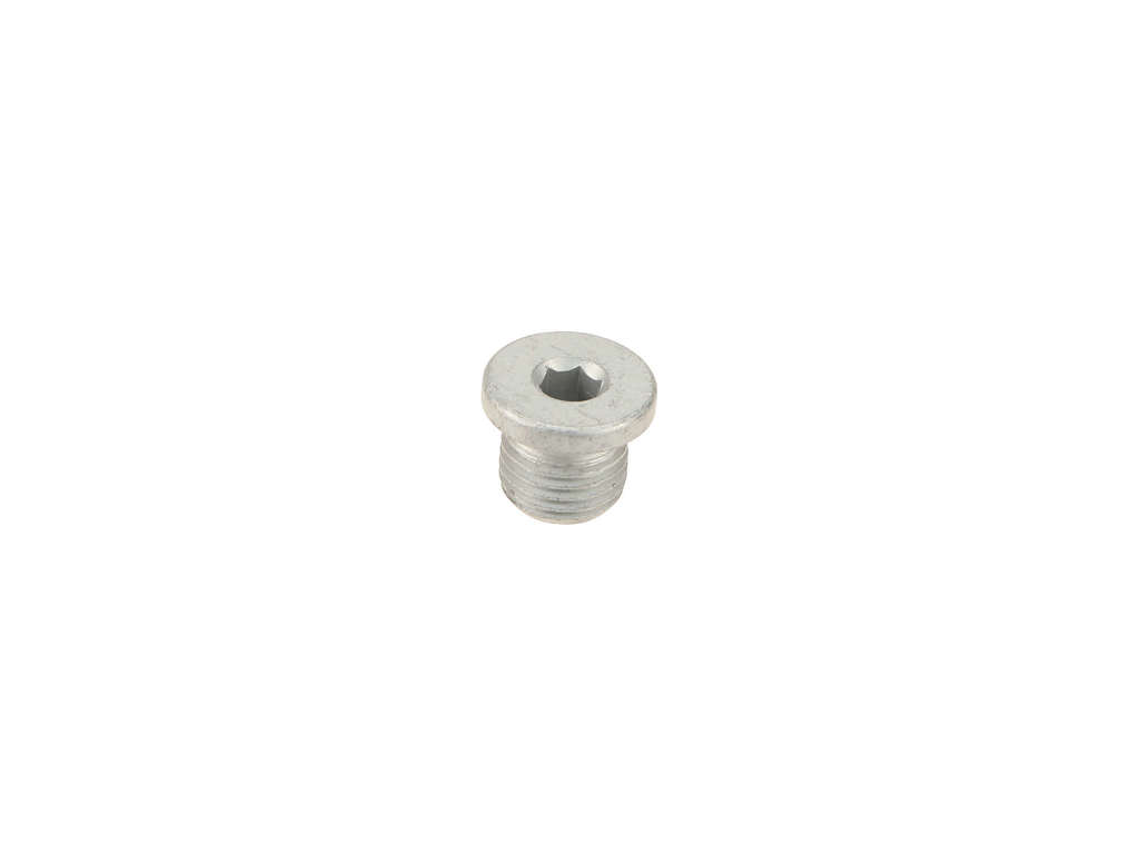2022 Mercedes-Benz SL55 AMG Engine Oil Drain Plug (Genuine)