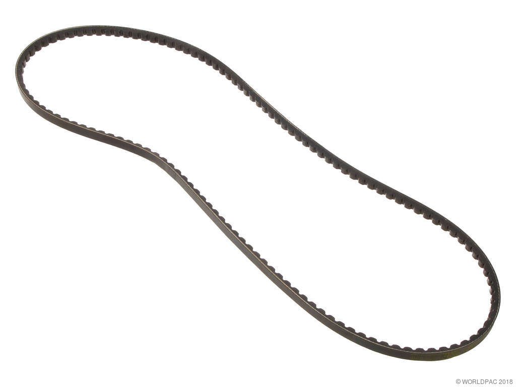 1985-1986 Buick Century Accessory Drive Belt - Alternator (ContiTech)