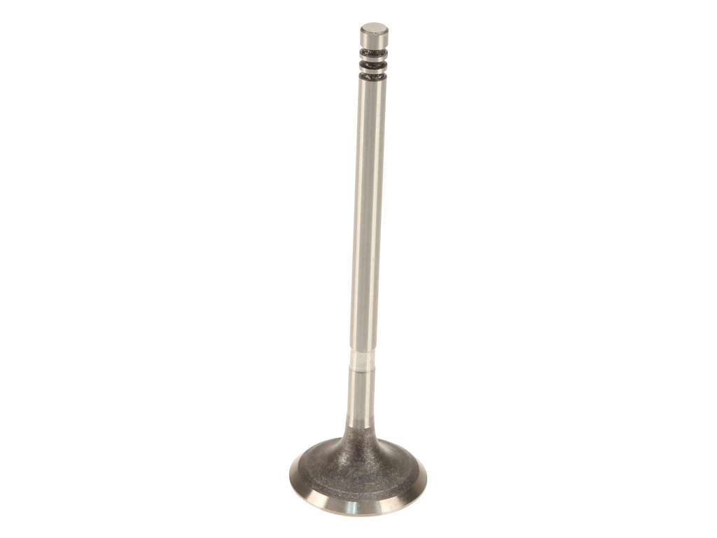 2002-2008 Mini Cooper Engine Intake Valve (AE)