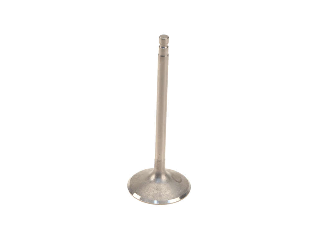 2011-2013 Nissan Quest Engine Intake Valve (Original Equipment)