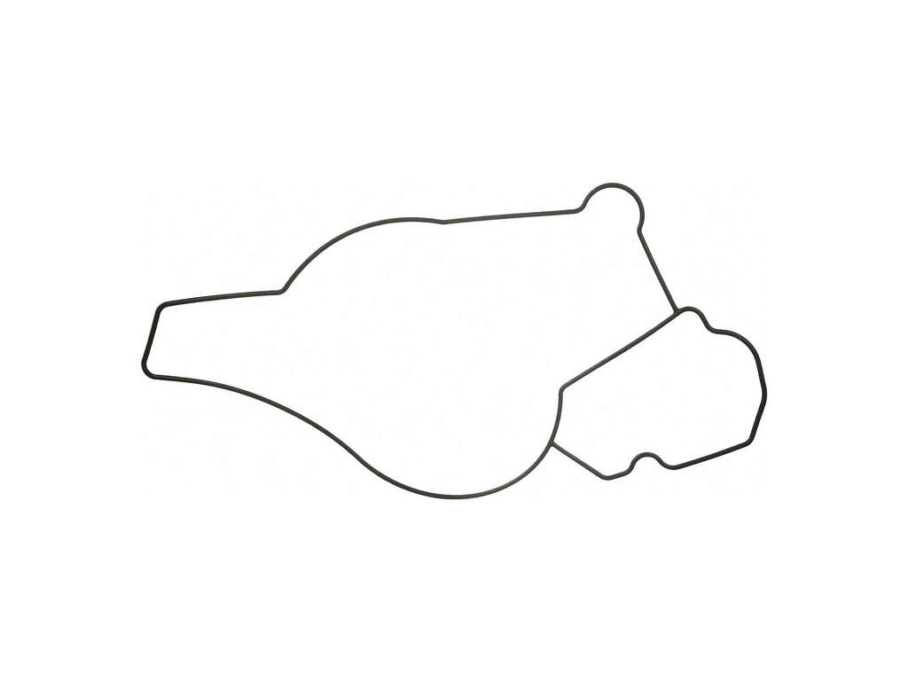 1995-1998 Ford E-350 Econoline Engine Water Pump Gasket (Fel-Pro)