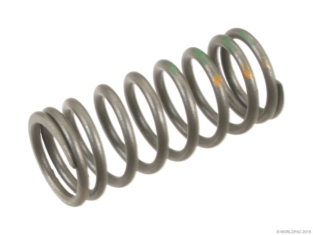 1989-1990 BMW 525i Engine Valve Spring (Genuine)