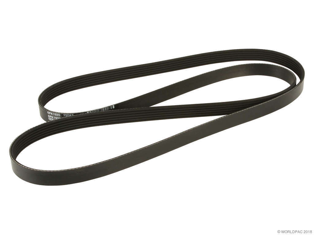 1995-2002 Lincoln Continental Accessory Drive Belt (Dayco)