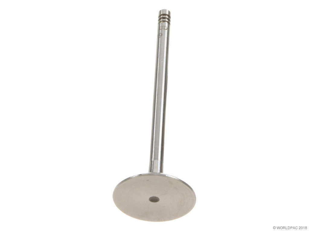 1993-2001 BMW 740i Engine Intake Valve (TRW)