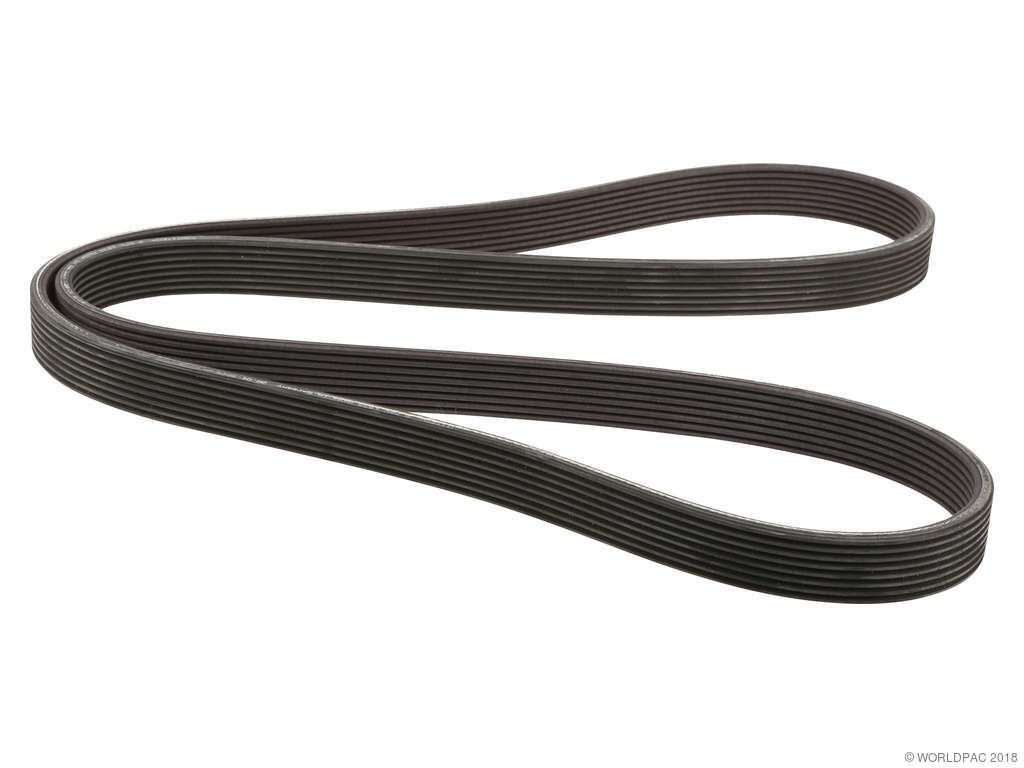 2011-2012 BMW 740i Accessory Drive Belt - Primary (ContiTech)