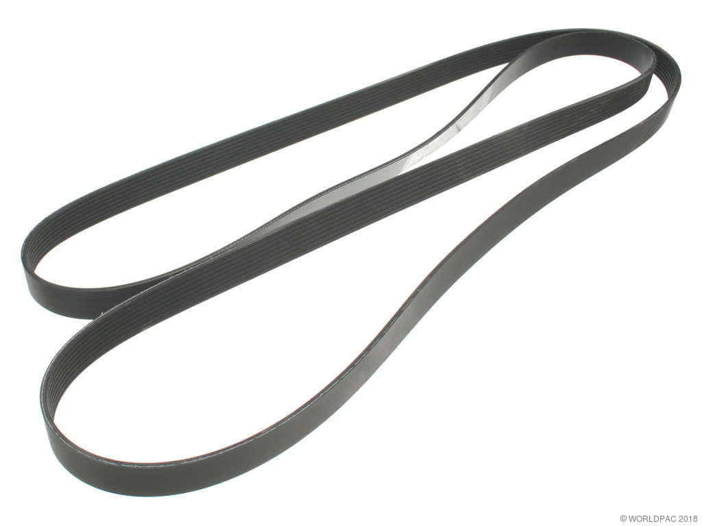 1995-1997 Ford E-350 Econoline Accessory Drive Belt -  or Primary (Gates)