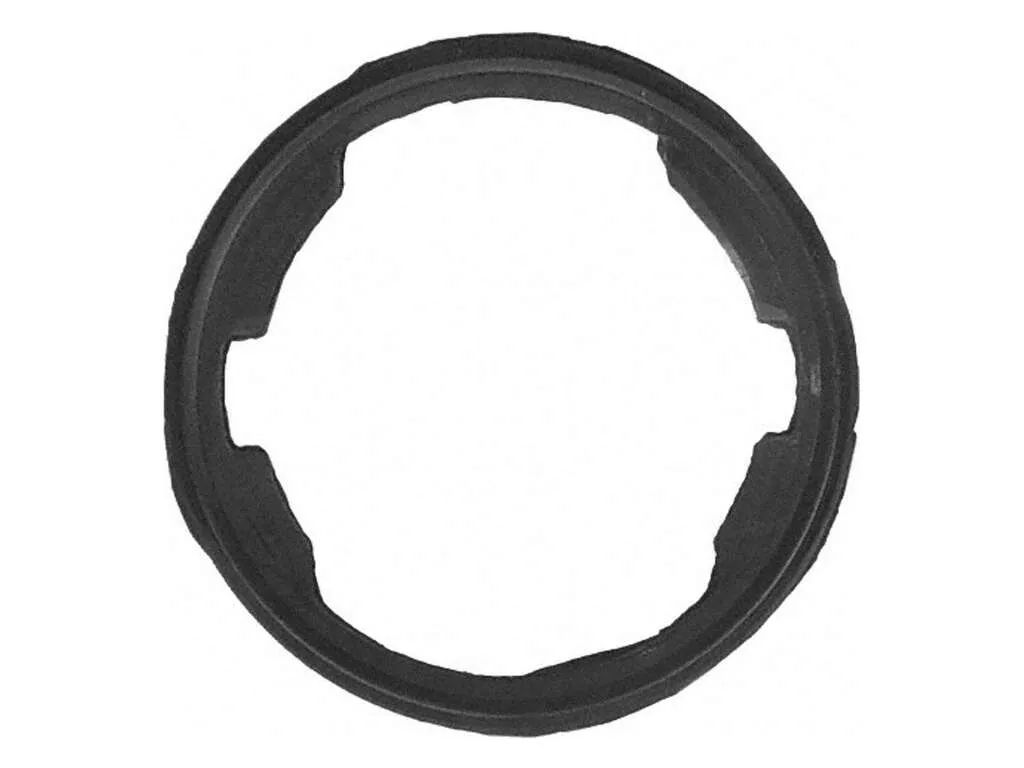 1998-2004 Isuzu Rodeo Engine Coolant Thermostat Gasket (Fel-Pro)