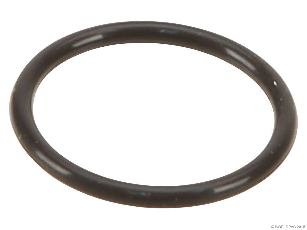 2001-2004 GMC Sierra 3500 Fuel Injector O-Ring (Genuine)