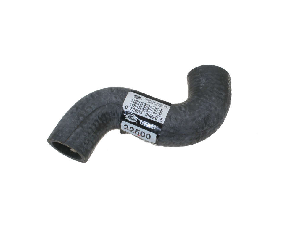 2000-2004 Ford Focus Radiator Coolant Hose - Lower or Lower - Radiator To Pipe (Gates)