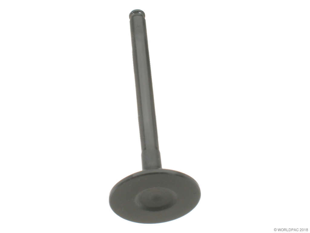 1994-1995 Mercedes-Benz S350 Engine Intake Valve (AE)