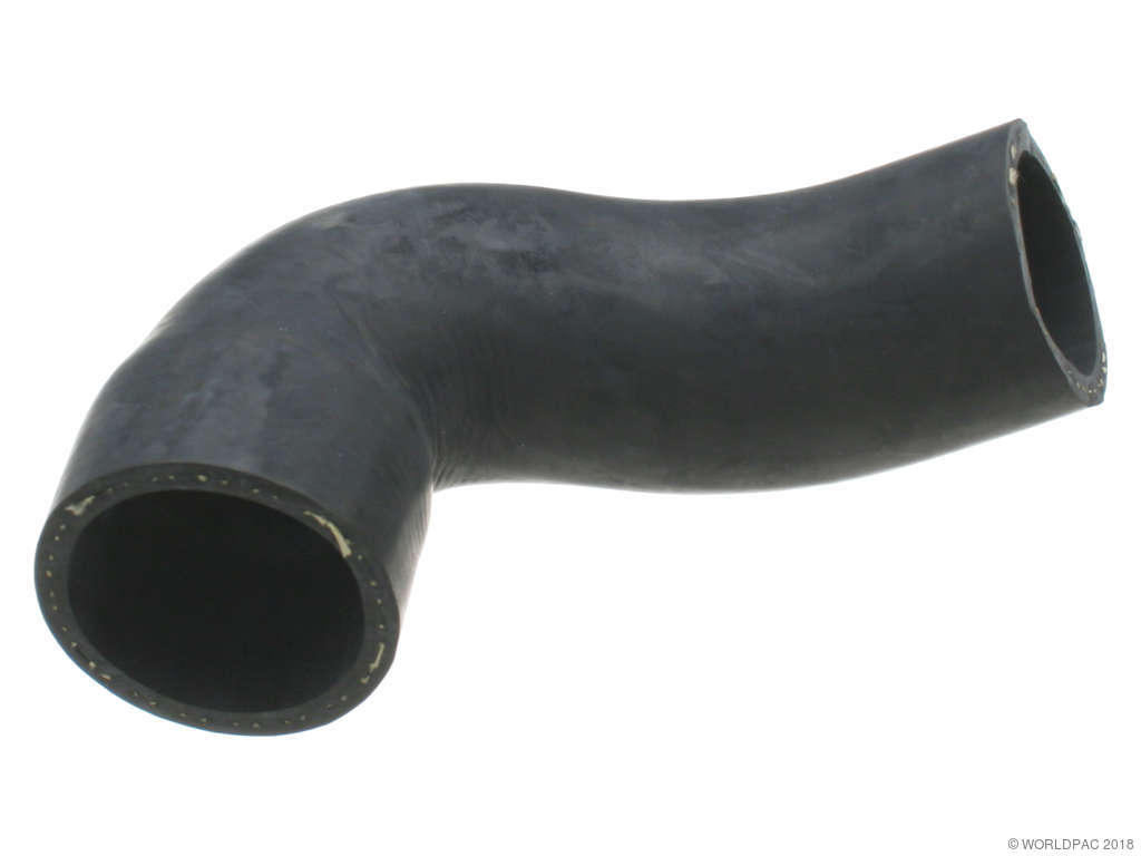 1987 BMW 325e Radiator Coolant Hose - Lower (Elaplast)
