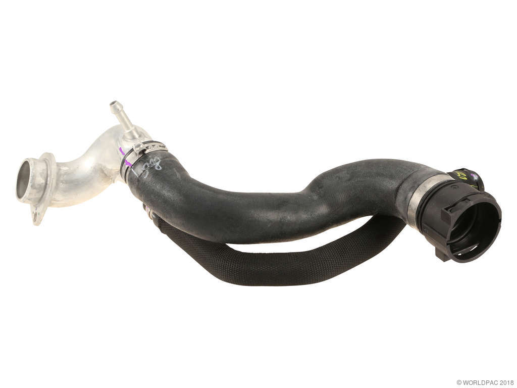 2008-2019 BMW X6 Radiator Coolant Hose - Upper (Genuine)