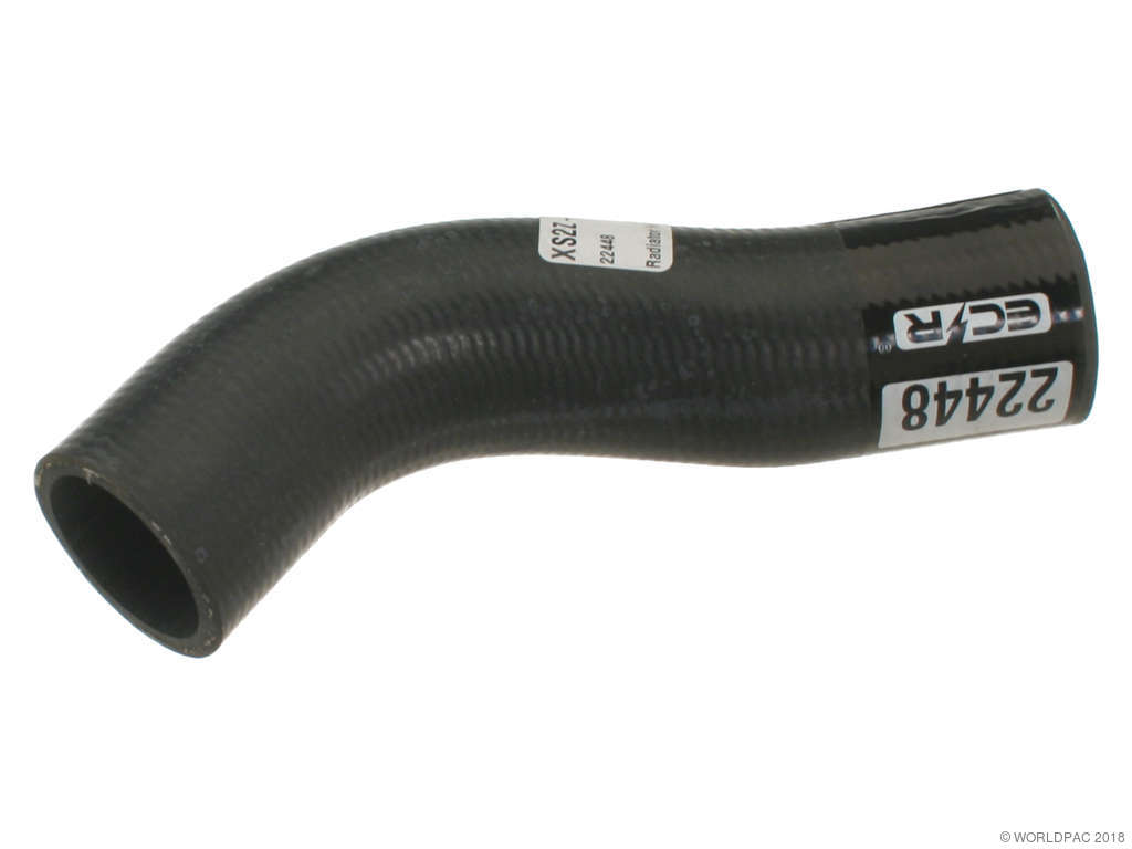 2000-2001 Mazda MPV Radiator Coolant Hose - Lower - Thermostat To Water Pump (Gates)