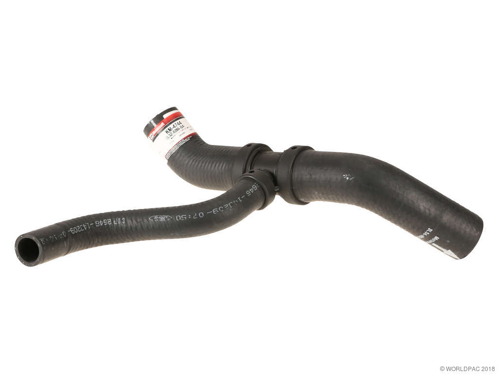 1999-2003 Ford F-150 Radiator Coolant Hose - Lower (Motorcraft)