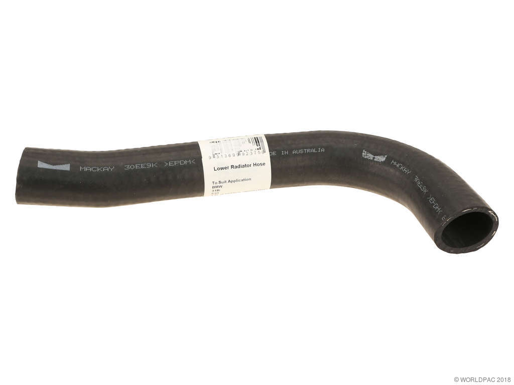 1984-1985 BMW 318i Engine Coolant Hose (MacKay)