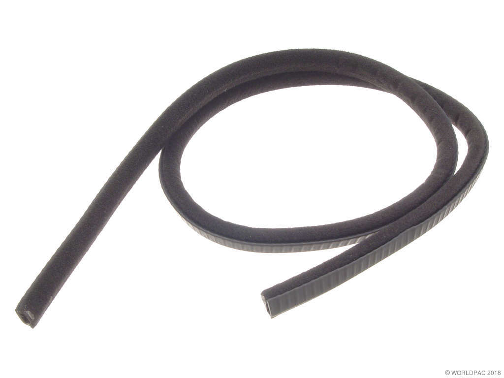 1988-1991 BMW M3 Sunroof Seal - Front (Genuine)