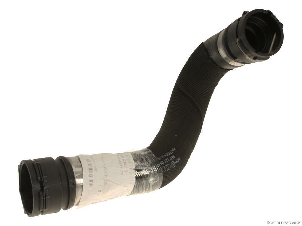 2006-2008 Audi A4 Radiator Coolant Hose - Lower (Genuine)