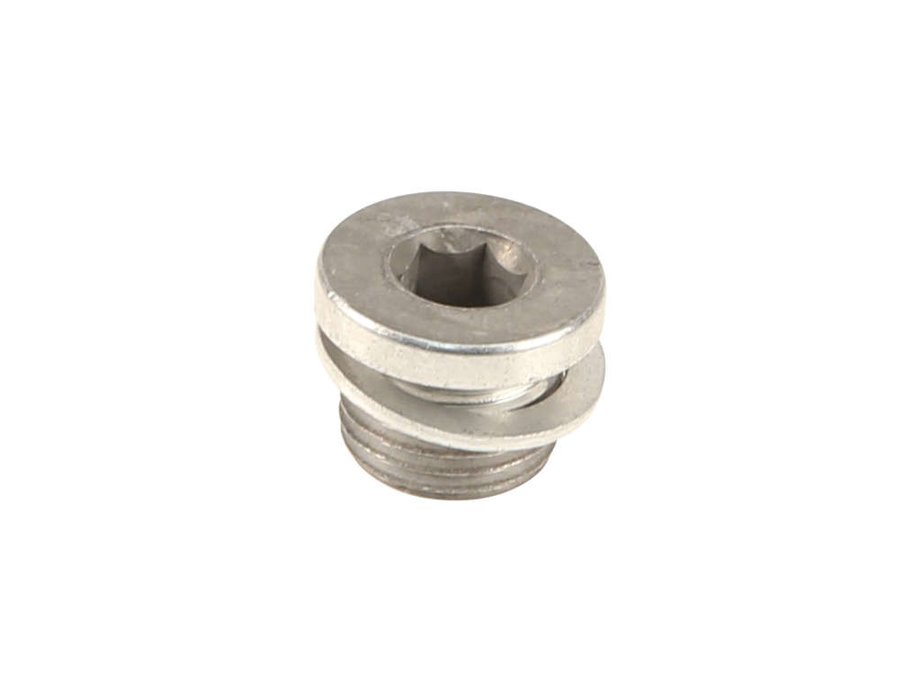 2015 BMW M4 Engine Oil Drain Plug (Genuine)