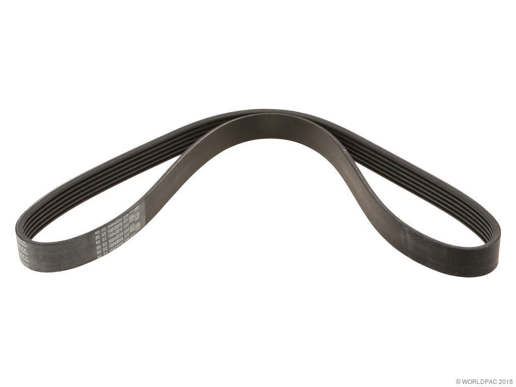 2013-2017 BMW X3 Accessory Drive Belt (ContiTech)