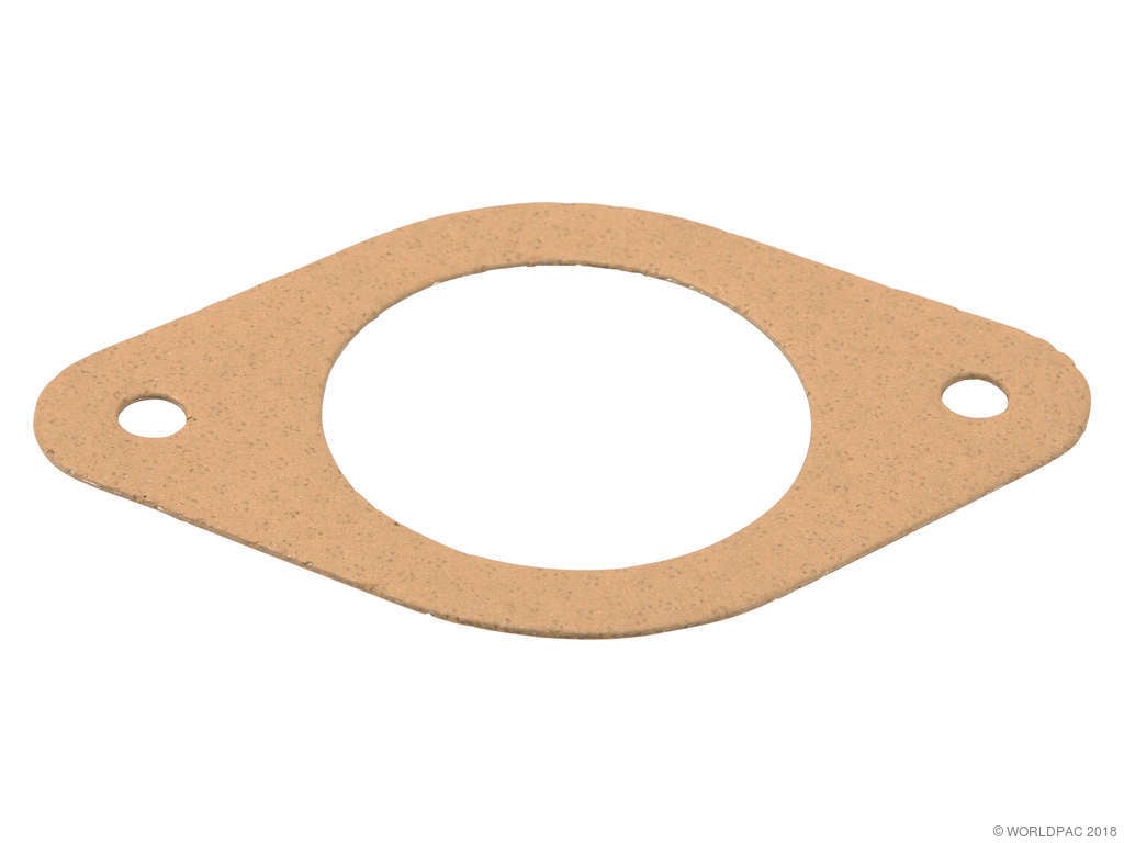 2010-2011 Chevrolet Equinox Catalytic Converter Gasket (Mahle)