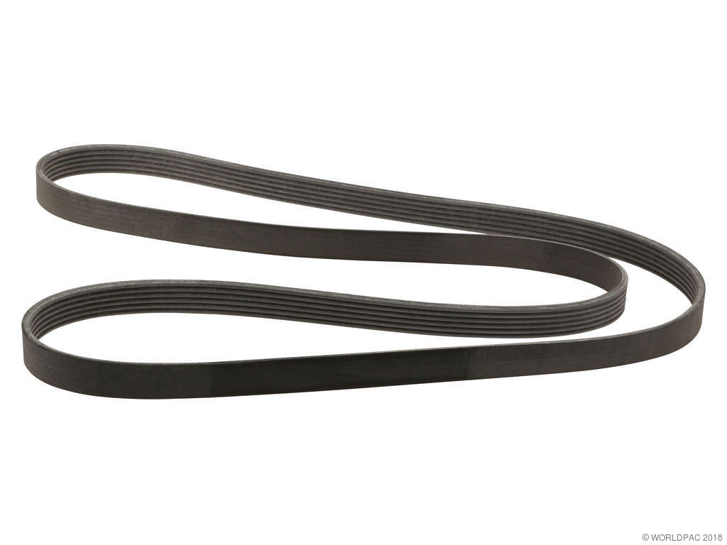 1998 Volvo V70 Accessory Drive Belt (ContiTech)