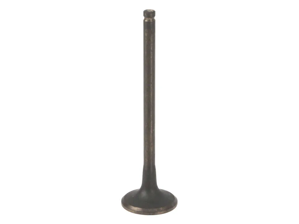 1998-2002 Honda Passport Engine Exhaust Valve (AE)