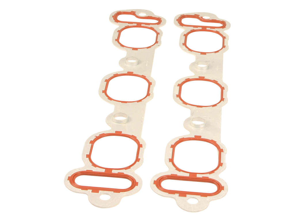 2009-2010 Volkswagen Routan Engine Intake Manifold Gasket - Lower (Mahle)