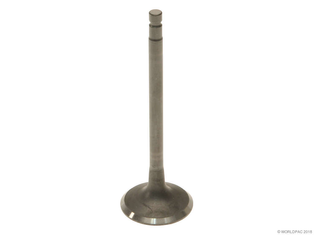 2004 Nissan Quest Engine Exhaust Valve (Genuine)