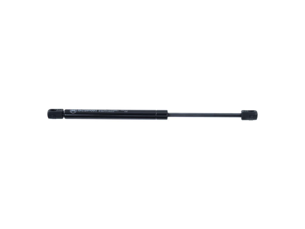 2004-2005 Acura TL Hood Lift Support - Left or Right (Autopart International)