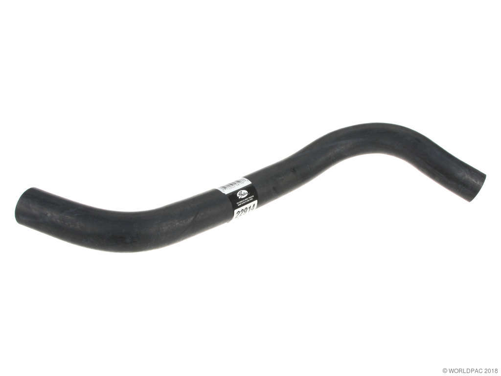 2004-2008 Suzuki Forenza Radiator Coolant Hose - Lower (Gates)
