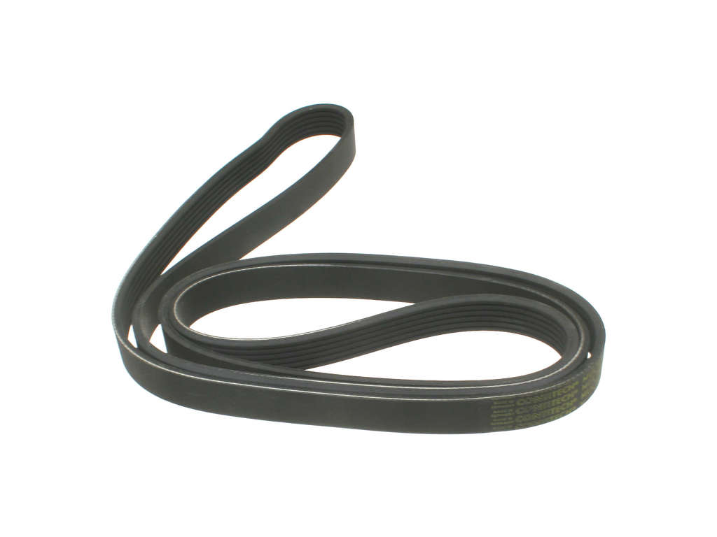 2007-2010 BMW X3 Accessory Drive Belt (ContiTech)