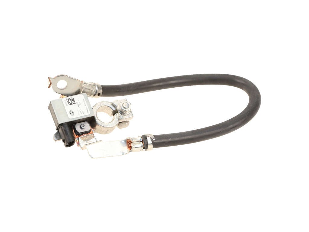 2017-2018 Ford C-Max Battery Cable (Hella)