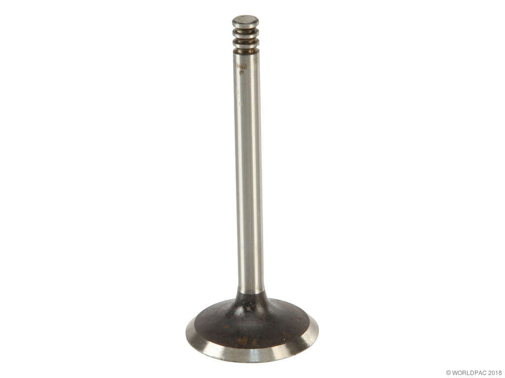2005-2006 Volkswagen Jetta Engine Intake Valve (AE)