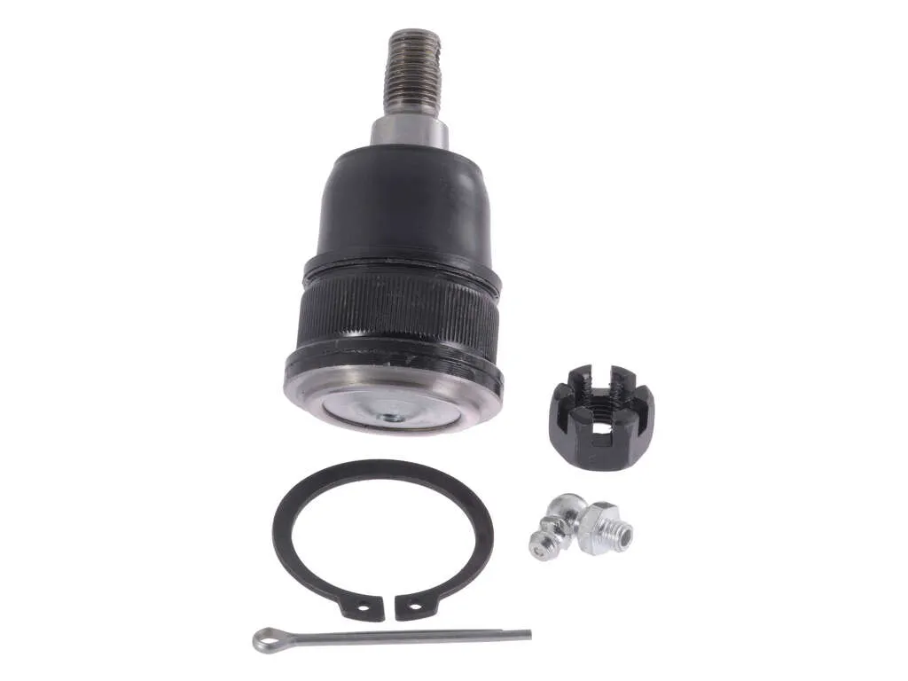 2001-2005 Honda Civic Suspension Ball Joint - Front Lower (Autopart International)