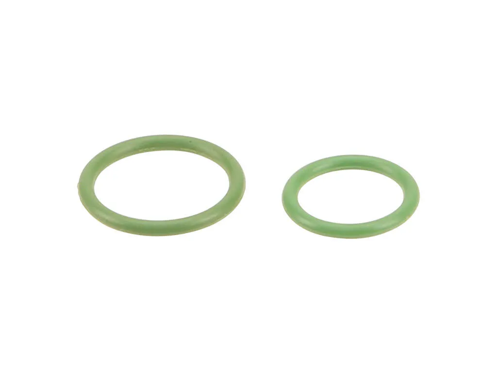 2007-2018 BMW X5 A/C Expansion Valve Seal Kit (ACM)