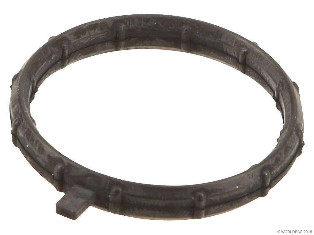 2009-2013 Porsche Cayenne Engine Coolant Outlet Gasket (Elring)