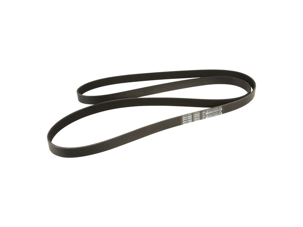 2007-2010 BMW X3 Accessory Drive Belt (Dayco)
