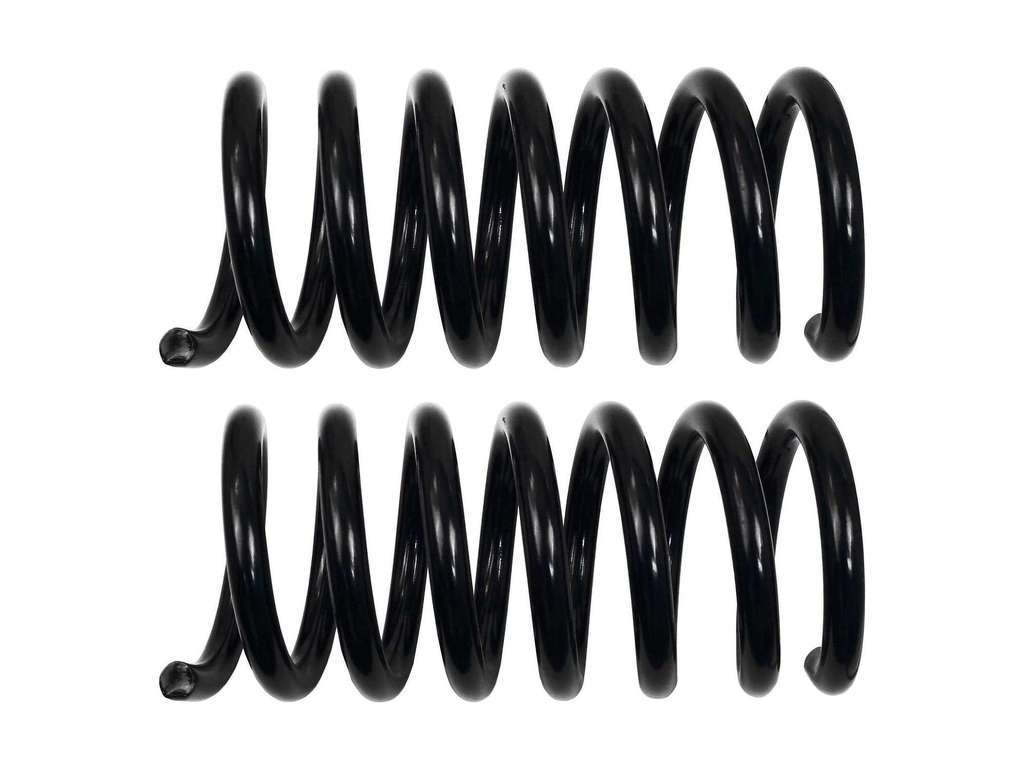 2008-2017 Buick Enclave Coil Spring - Rear (Moog)