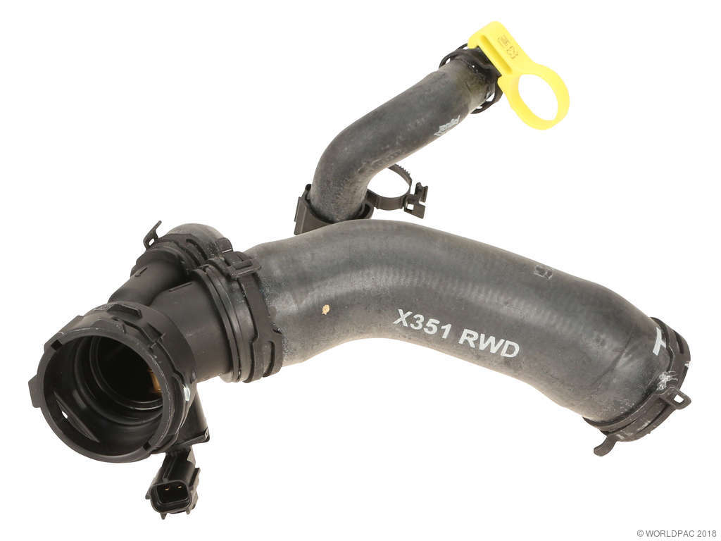 2010-2019 Jaguar XJ Radiator Coolant Hose - Lower (Genuine)