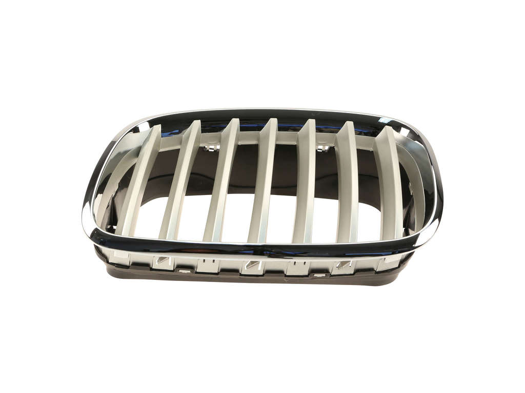 2008-2014 BMW X6 Grille Insert - Left (Aftermarket)