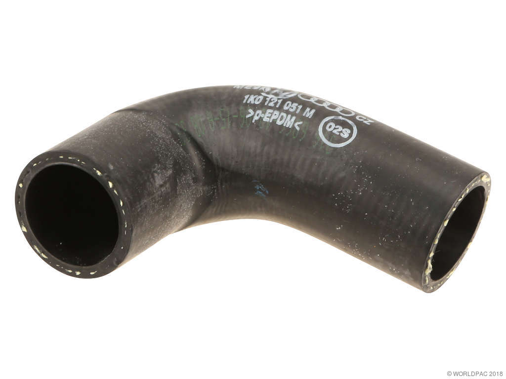2006-2009 Audi A3 Quattro Radiator Coolant Hose - Lower (Genuine)
