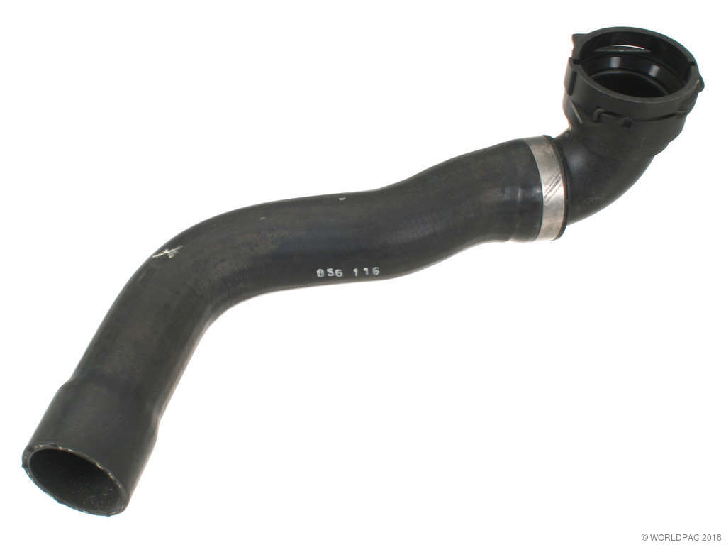 2001-2002 Mercedes-Benz CL600 Radiator Coolant Hose - Upper (Genuine)
