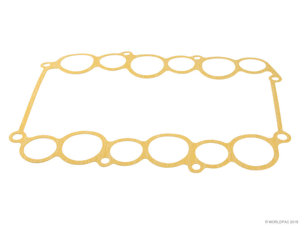 2002-2003 Isuzu Axiom Fuel Injection Plenum Gasket (Nippon Reinz)