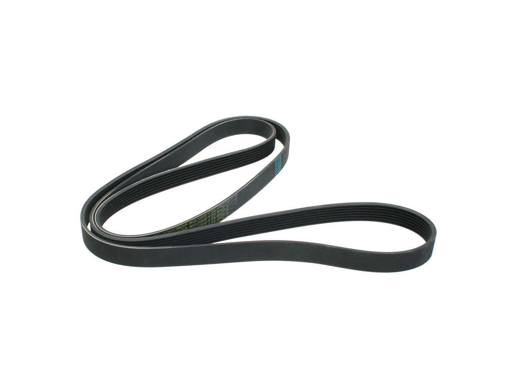 2001-2002 Mercedes-Benz S600 Accessory Drive Belt (ContiTech)