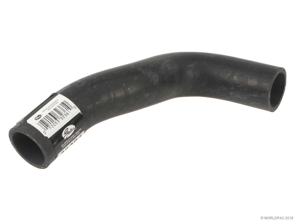 1998-2001 Mazda B2500 Radiator Coolant Hose - Lower (Gates)