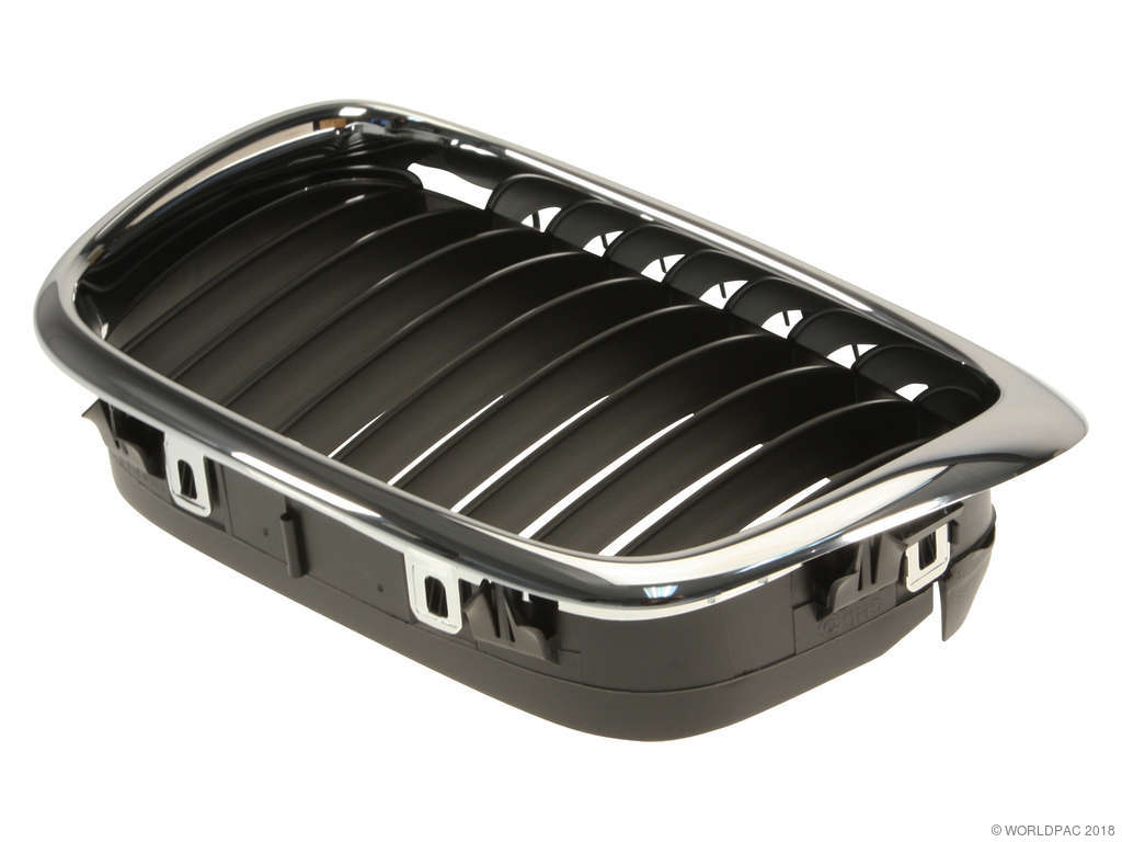1999-2000 BMW 528i Grille - Left (Genuine)