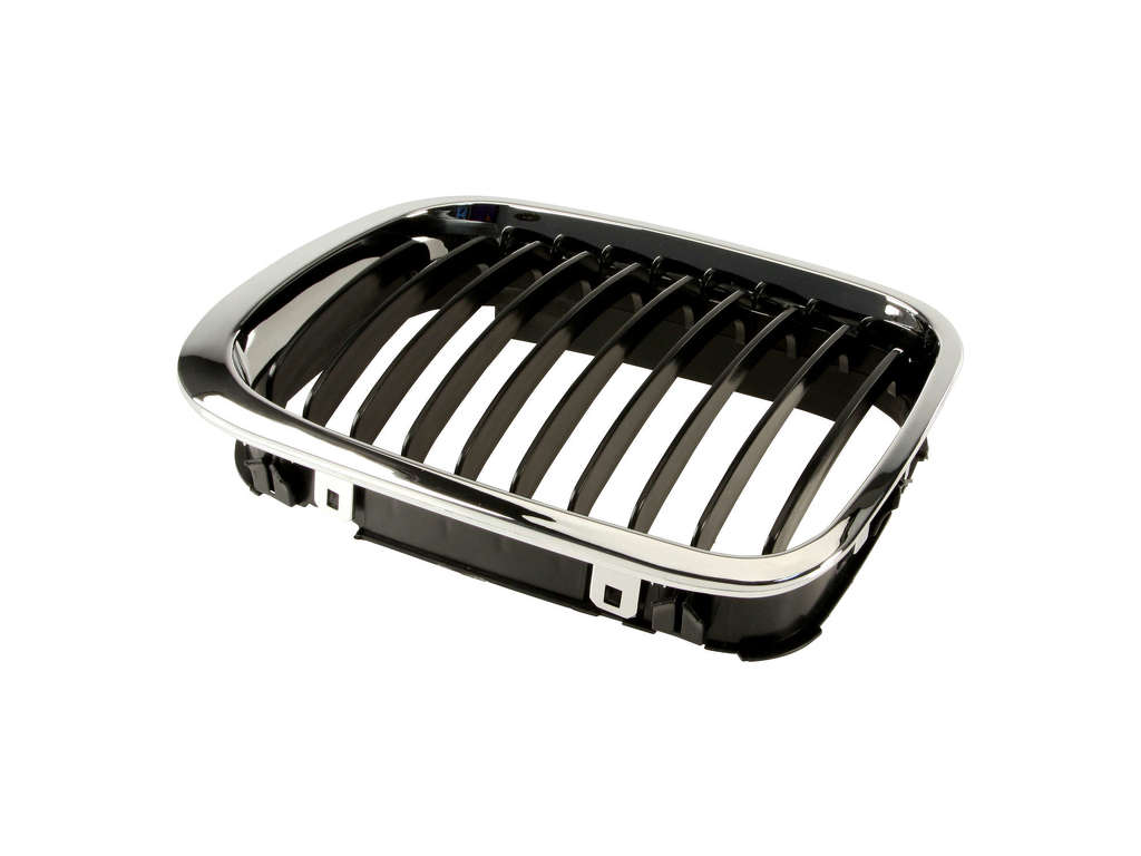 2001 BMW 320i Grille - Left (BBR Automotive)